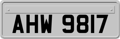 AHW9817
