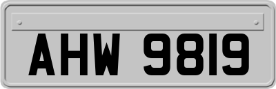 AHW9819