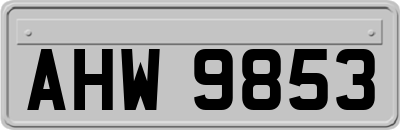 AHW9853