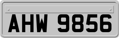 AHW9856