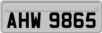 AHW9865