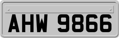 AHW9866