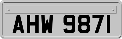 AHW9871
