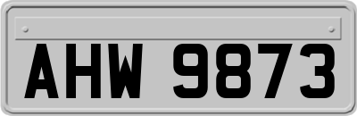 AHW9873