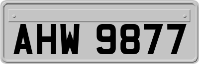 AHW9877