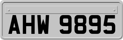 AHW9895