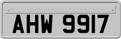 AHW9917