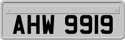 AHW9919