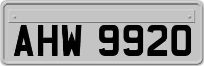 AHW9920