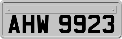AHW9923