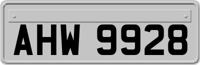 AHW9928