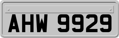 AHW9929