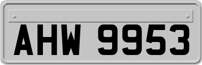 AHW9953