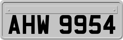 AHW9954