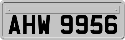 AHW9956
