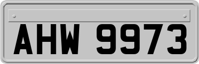 AHW9973