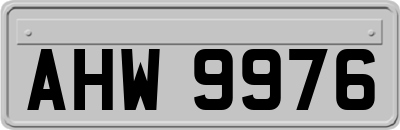 AHW9976