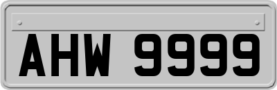 AHW9999