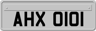AHX0101