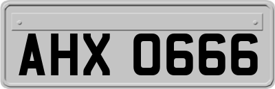 AHX0666