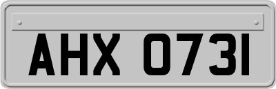 AHX0731