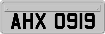 AHX0919