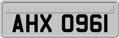 AHX0961