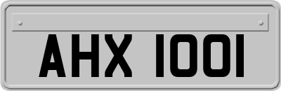 AHX1001