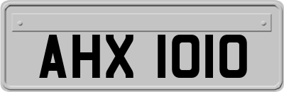 AHX1010