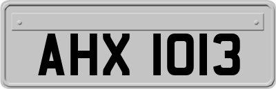 AHX1013