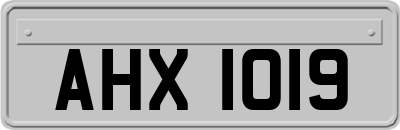 AHX1019
