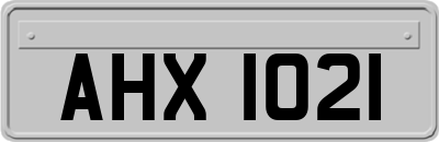 AHX1021