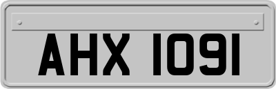 AHX1091