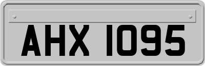 AHX1095