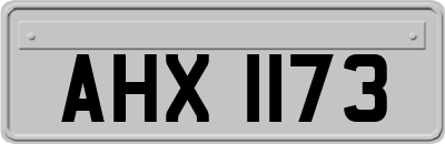 AHX1173