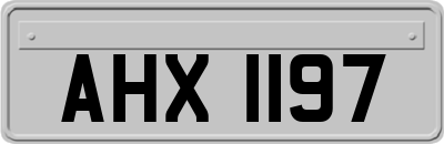 AHX1197