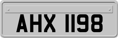 AHX1198