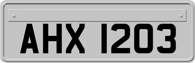 AHX1203