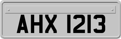 AHX1213