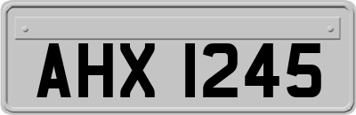 AHX1245
