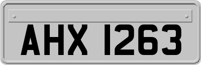 AHX1263