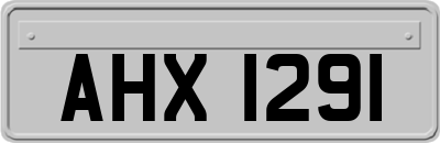 AHX1291