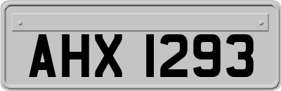 AHX1293
