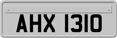 AHX1310