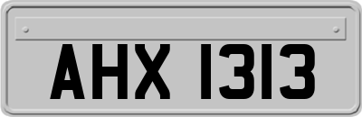 AHX1313