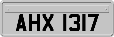 AHX1317