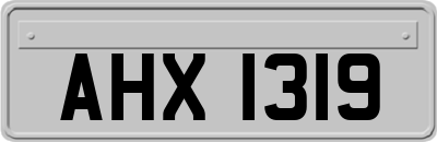 AHX1319