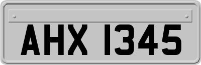 AHX1345