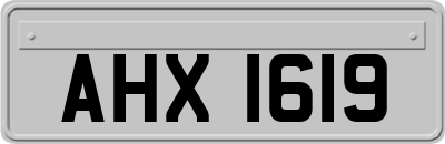 AHX1619