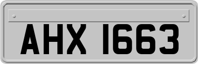 AHX1663